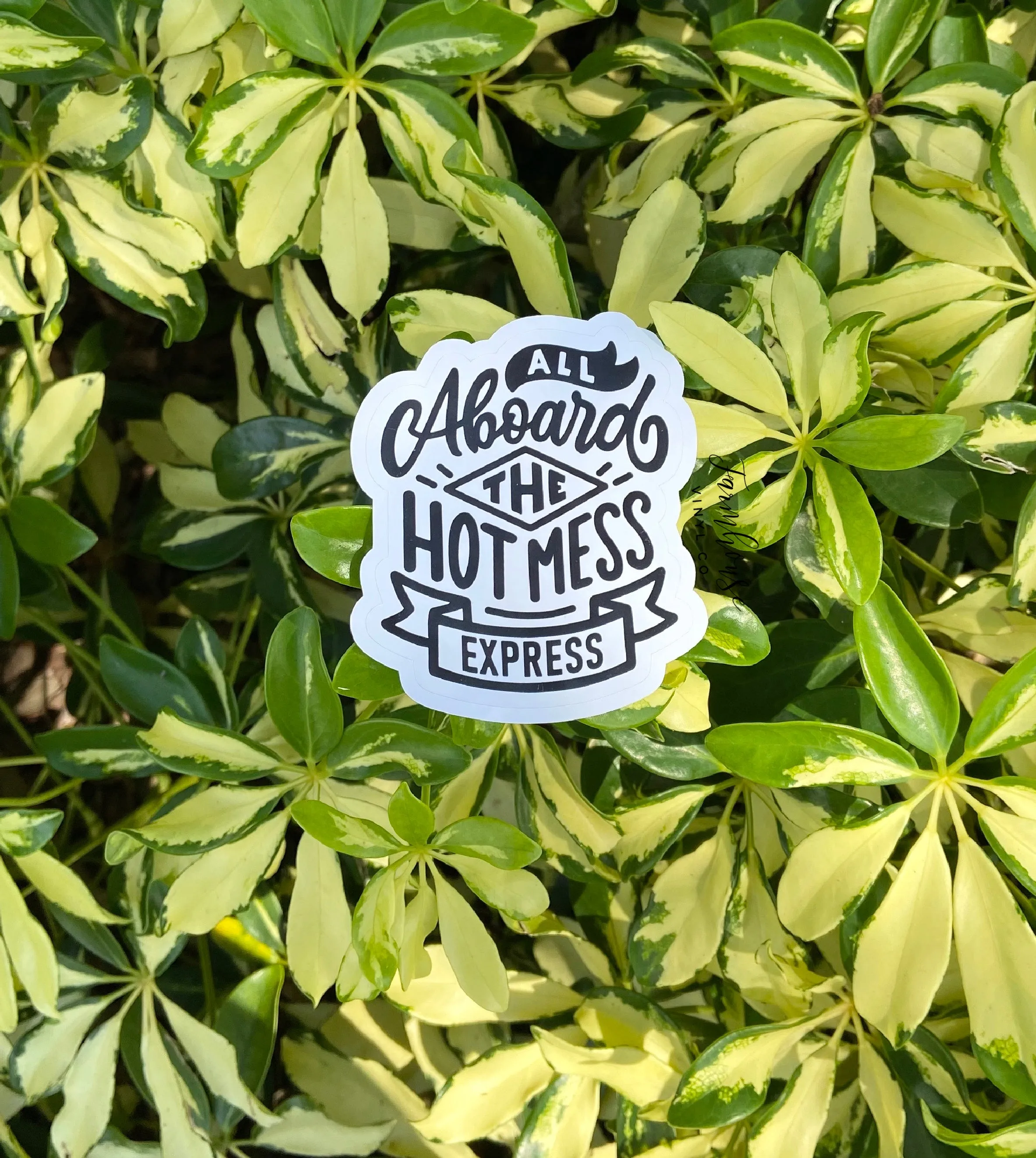 All Aboard the Hot Mess Express Kiss Cut Sticker