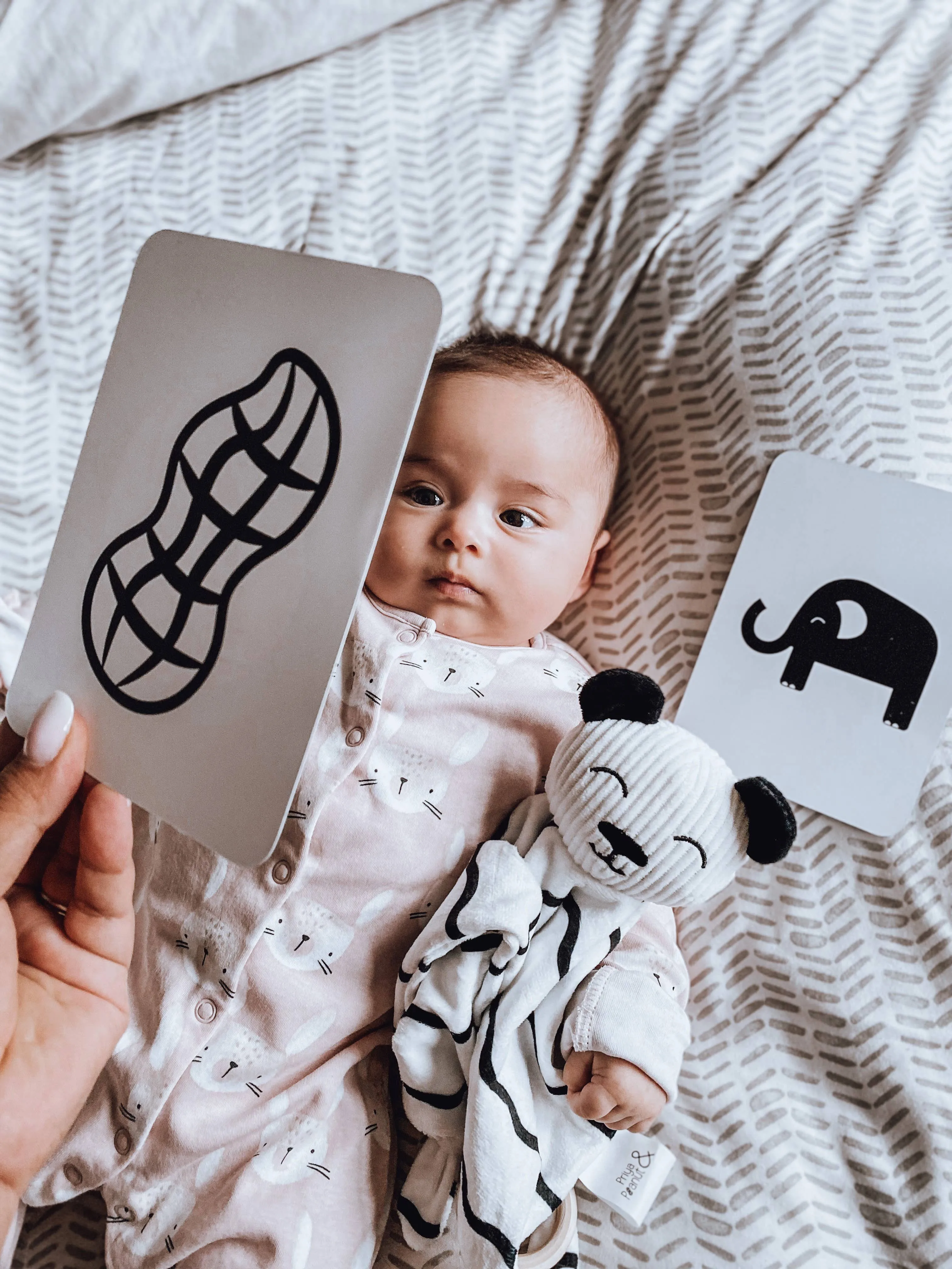 Baby Sensory Cards (0  Months Old)