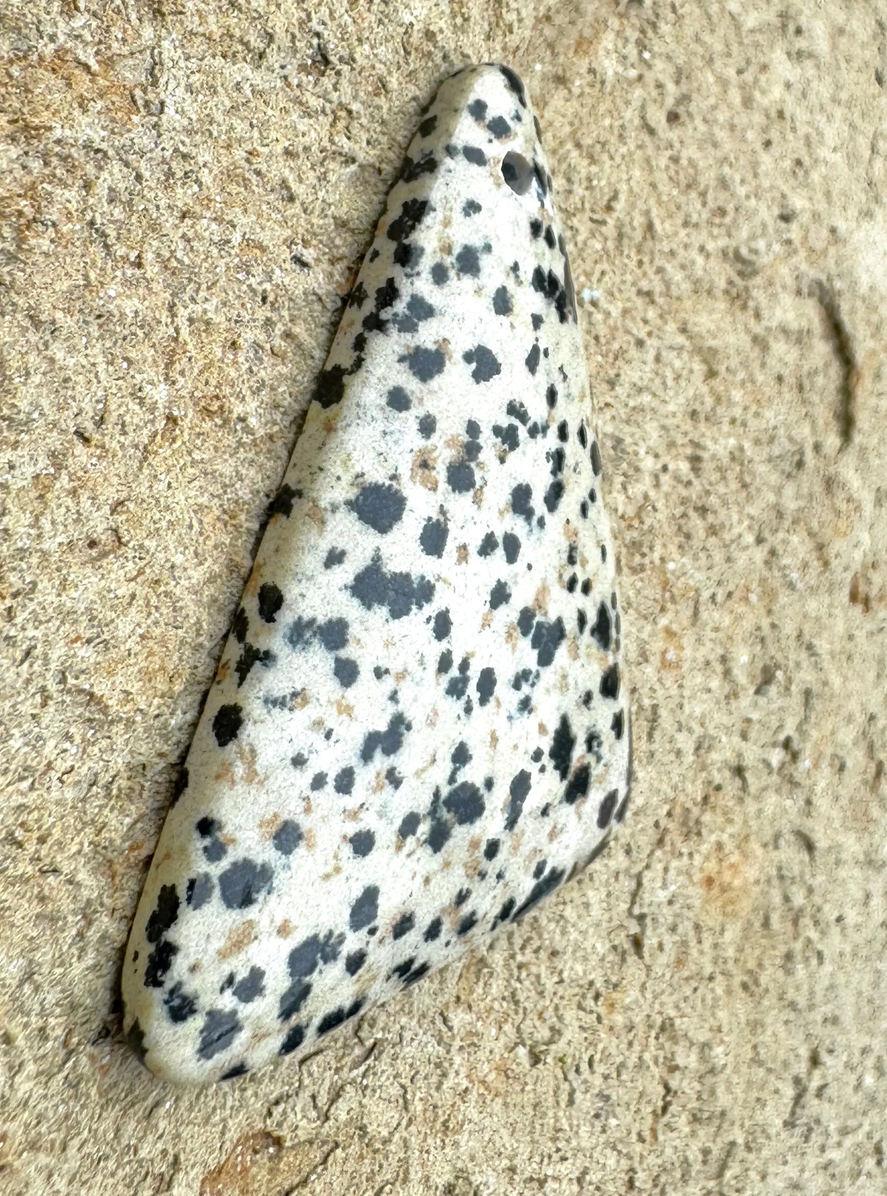 Dalmatian Jasper BIG Freeform Focal Pendant Bead 40x56mm