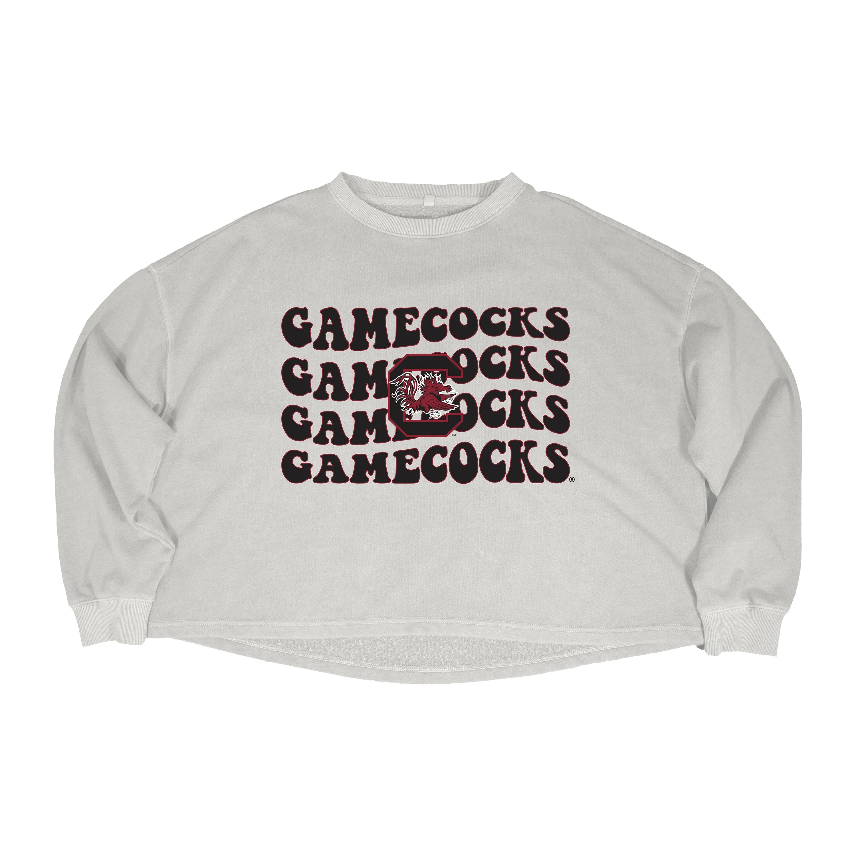 Groovy Gal Crop Crewneck in University of South Carolina